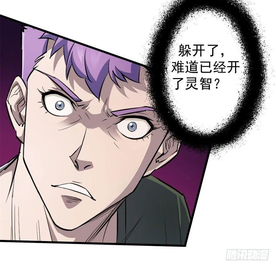 035玄阴狮虎兽 第36页