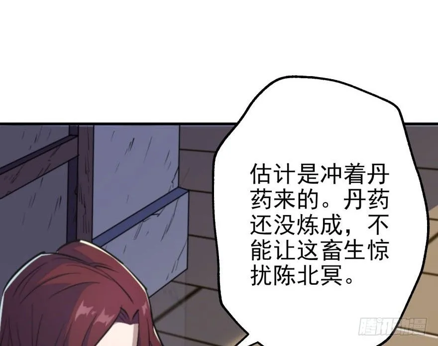 055猛犸野猪王 第12页