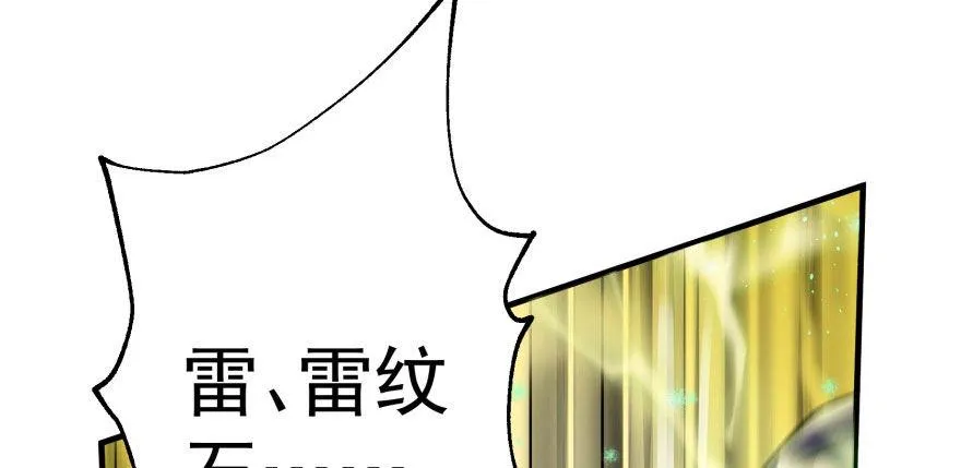077雷纹石 第71页