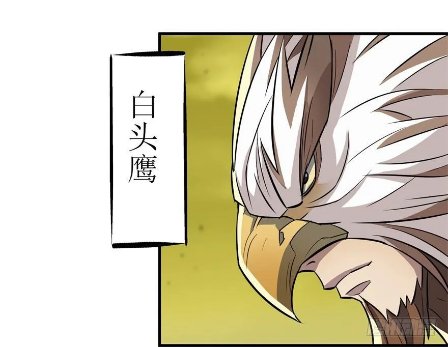 081逃离洛河 第37页