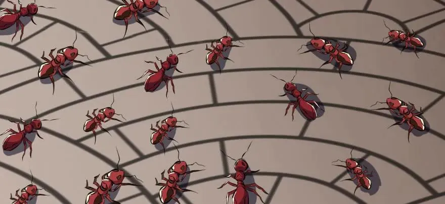 093一球战双王 第133页