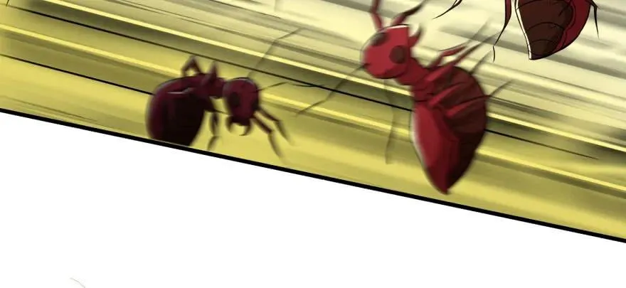 093一球战双王 第138页