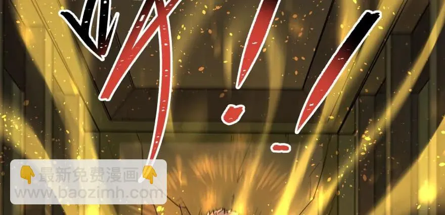 112镇世之宝 第110页