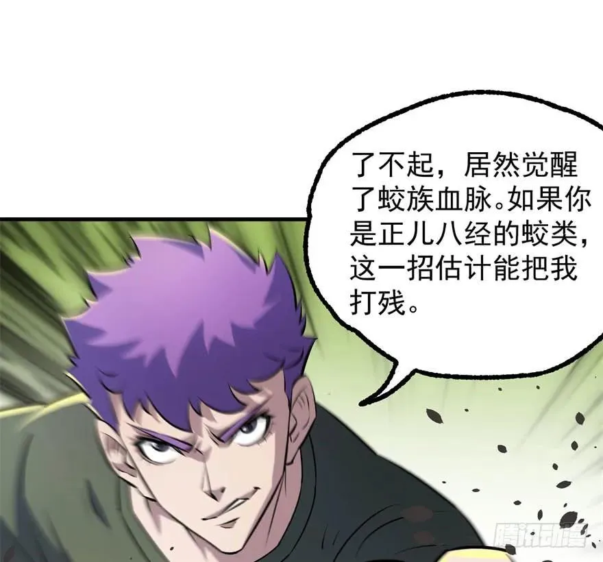 137混元始祖鳄 第108页