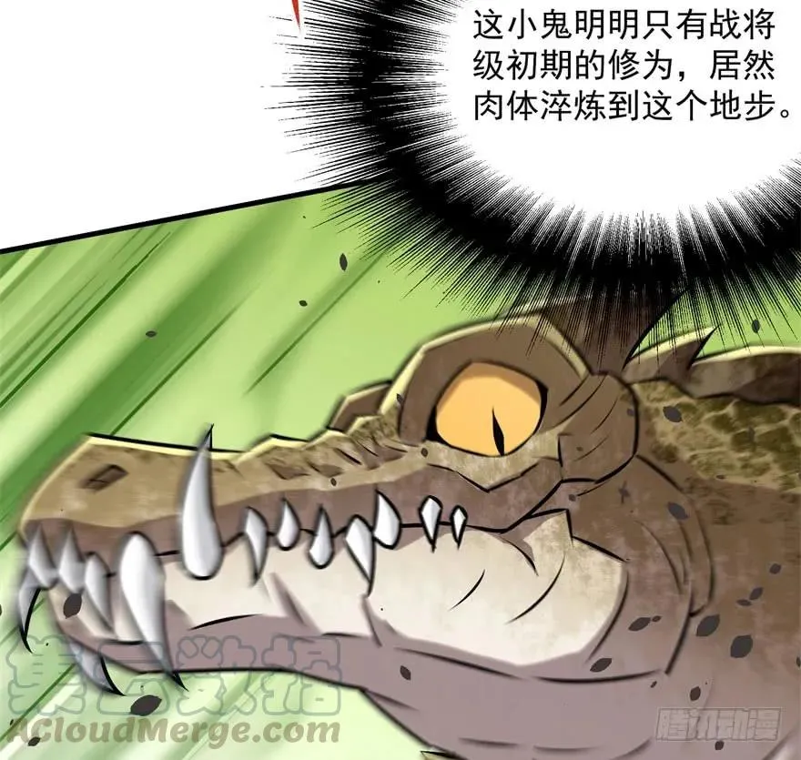 137混元始祖鳄 第111页