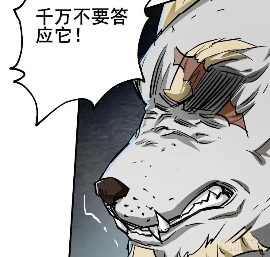 140虎王尊 第88页