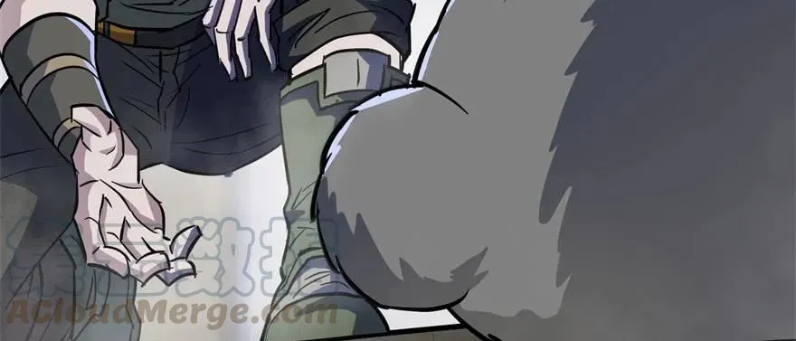 149虎王尊的宝库 第16页