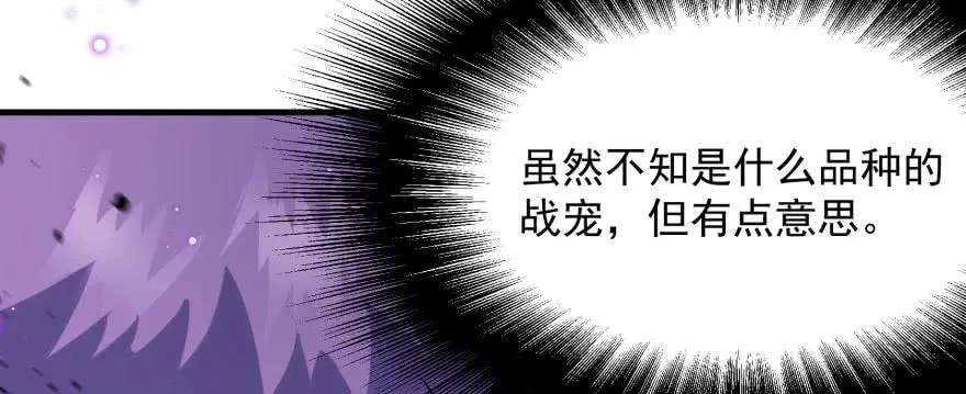 166助阵 第75页