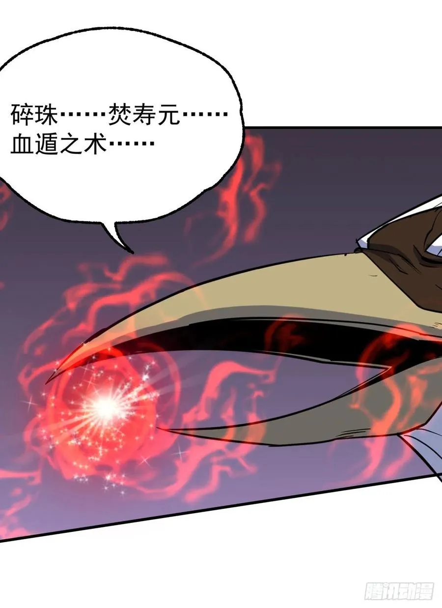 260计较 第5页