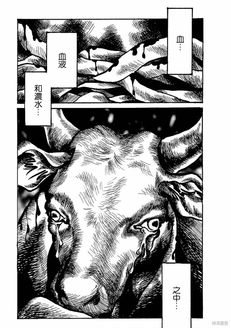 牛人的母亲 第23页