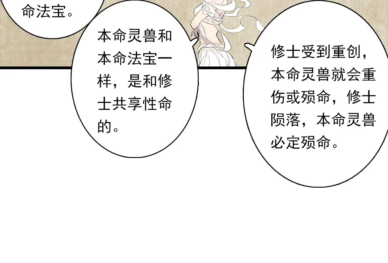 番外3 修士的本命灵兽 第13页