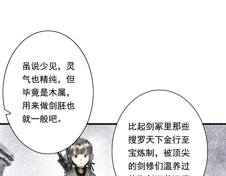 第48话 剑阁一脉 第17页