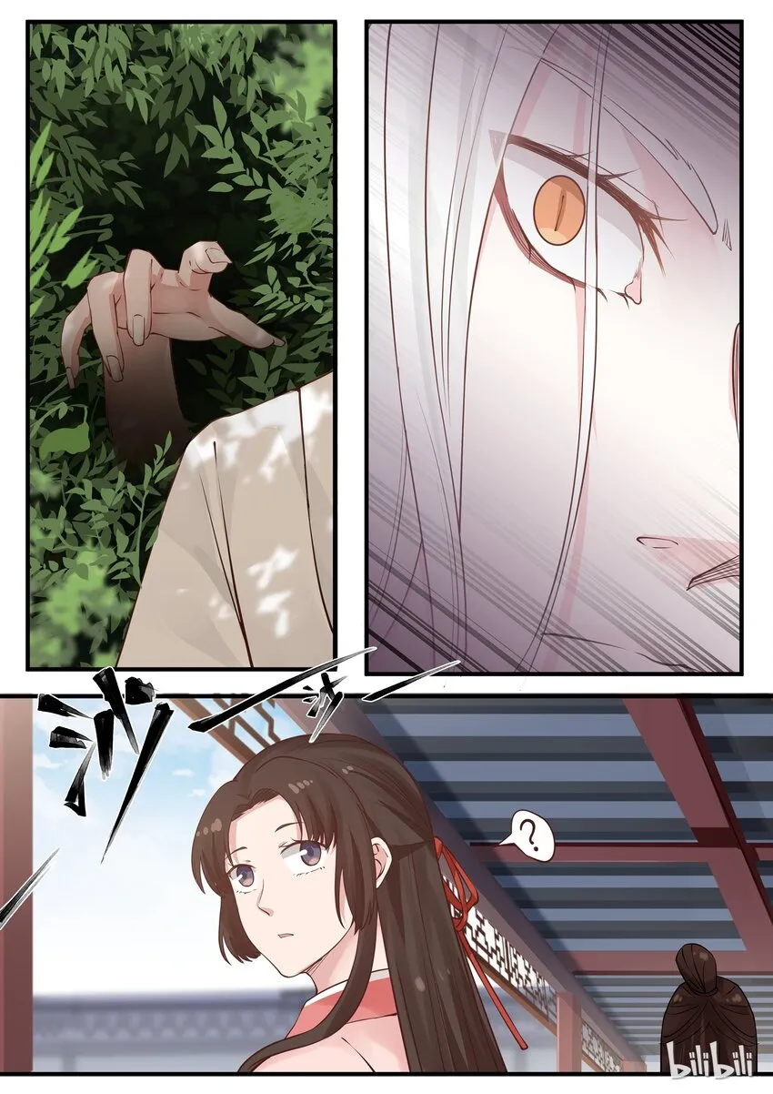 3 第5页