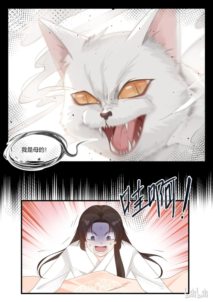12 第15页
