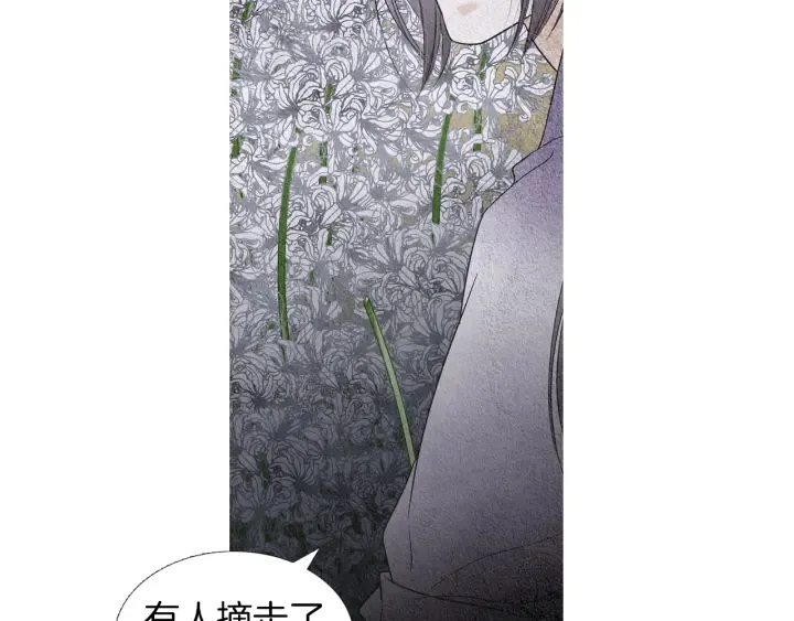 第152话 小星王的威胁 第63页