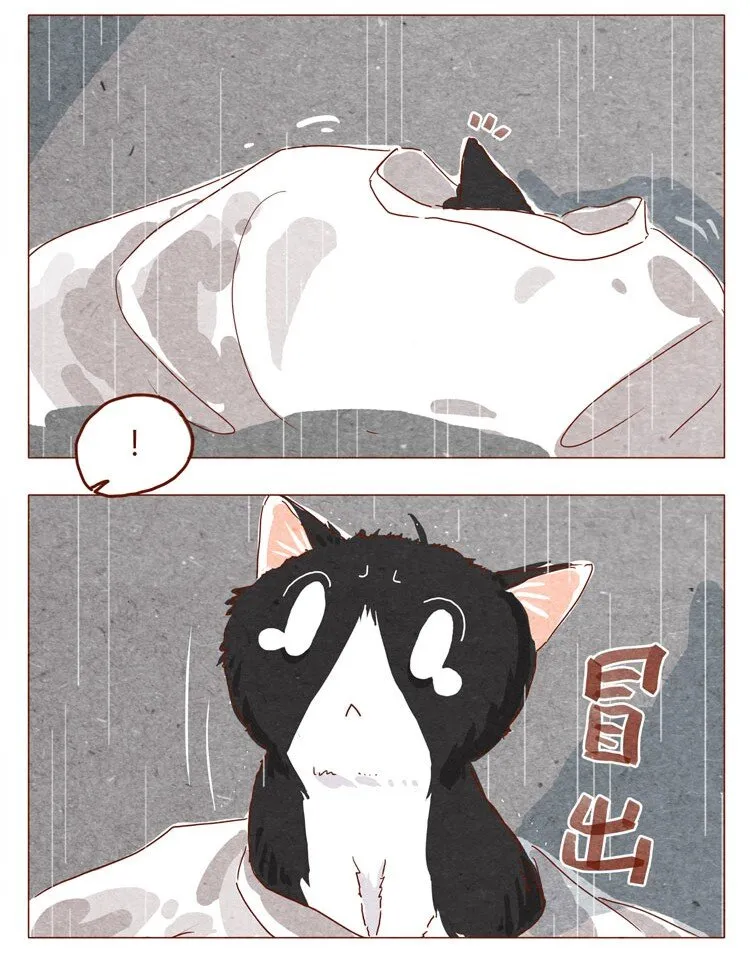 番外 跟你很熟吗 第5页