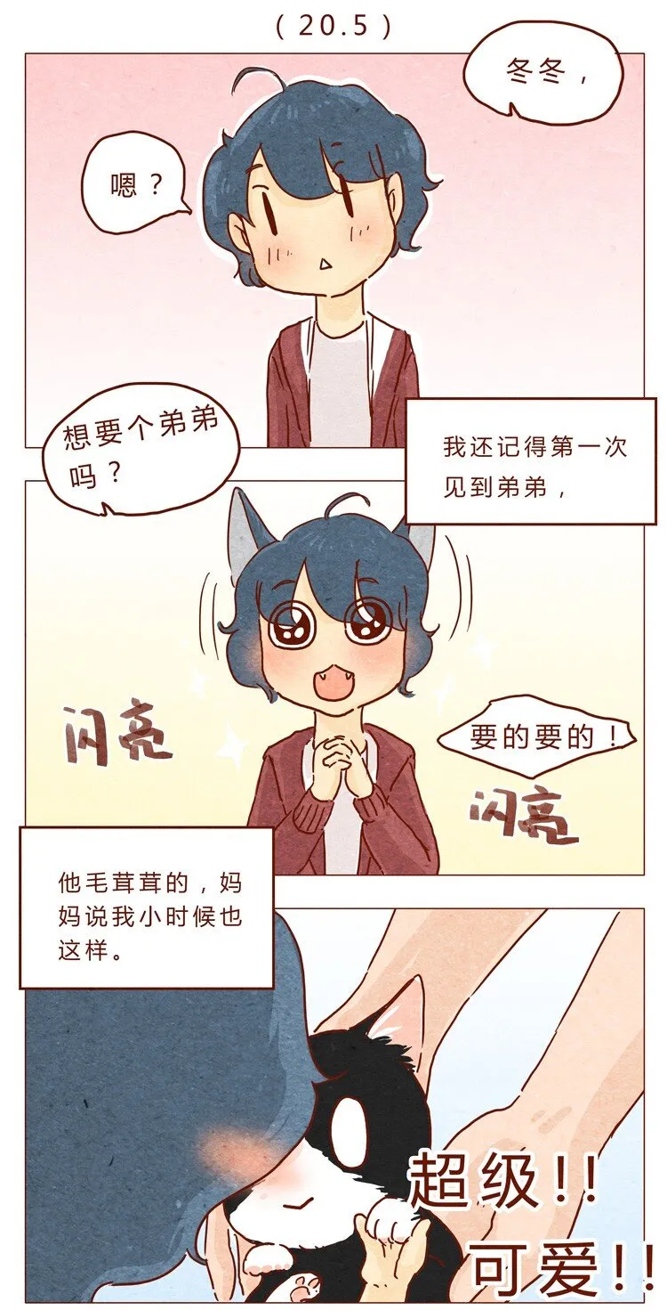 番外 我弟弟超可爱的 第1页