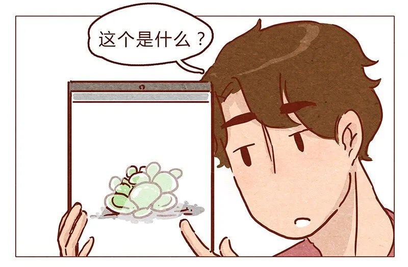 第68话 你要去哪蛾？ 第7页