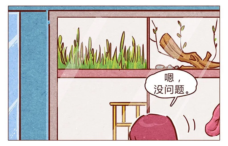 第86话 熟悉的小耗子 第2页