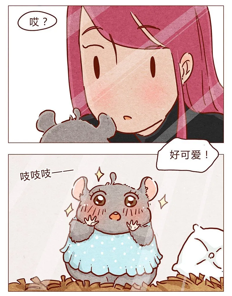 第86话 熟悉的小耗子 第5页