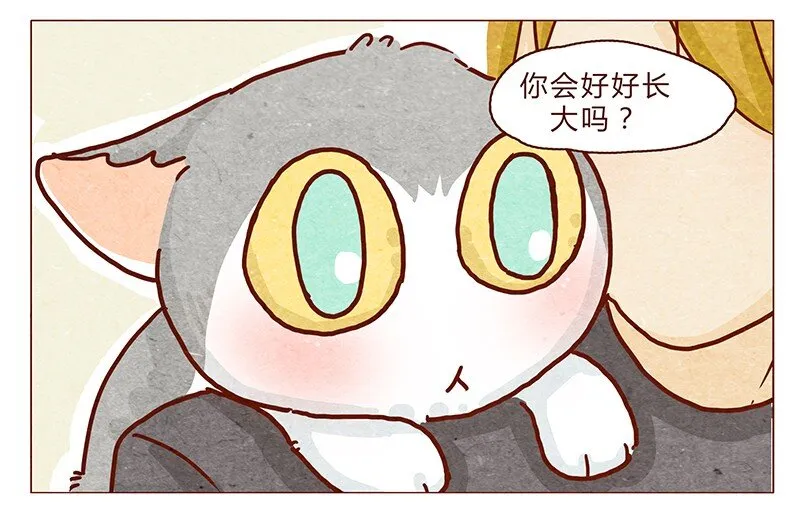 102话 长大的路上可是充满挑战哦 第14页
