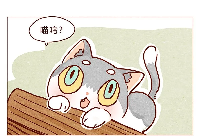 126话 不要怀疑自己的喵生 第4页