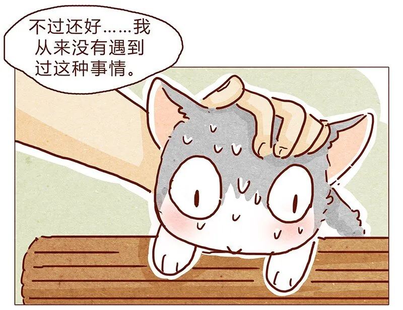 126话 不要怀疑自己的喵生 第11页