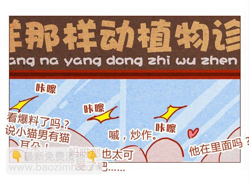 139话 铁打的粉丝流水的网红～ 第7页