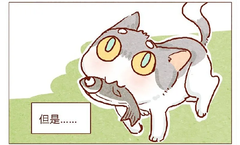 146话 您一生的护卫 第4页