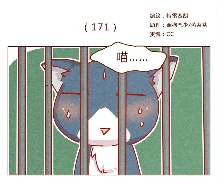 171话 别人家的喵！ 第1页