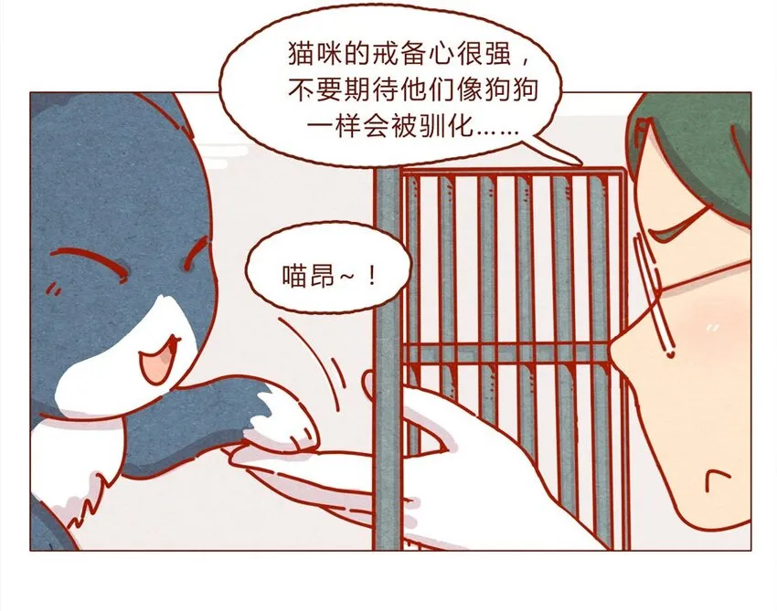 171话 别人家的喵！ 第10页