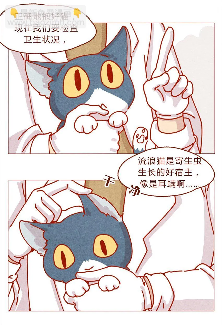 171话 别人家的喵！ 第14页