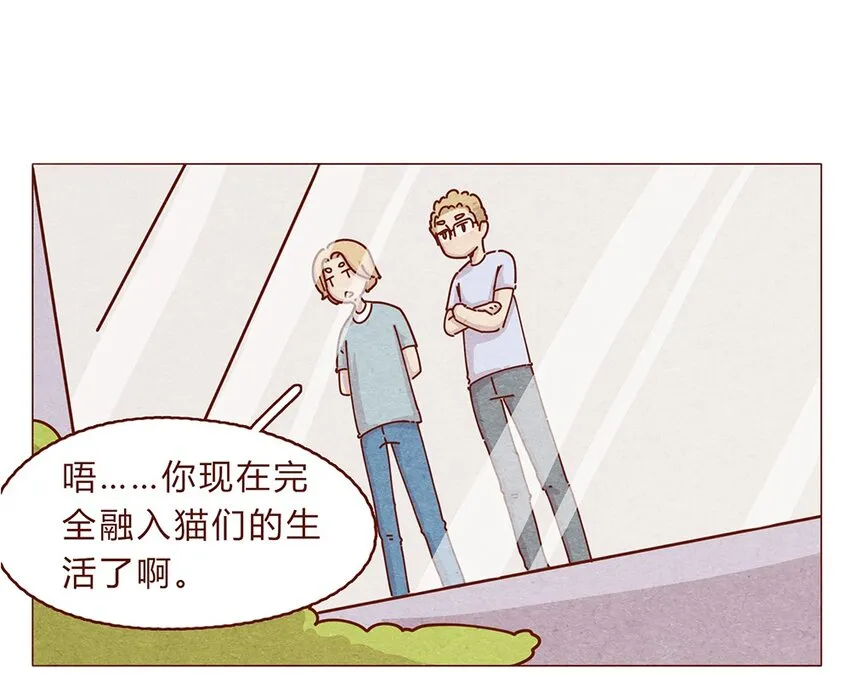 188话 我爱你，我的家，我的天堂！ 第13页