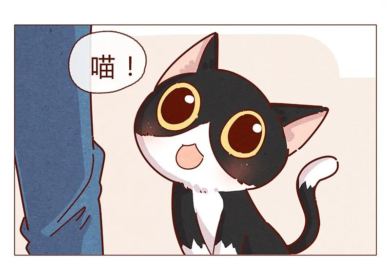 196话 你有别的猫！ 第9页