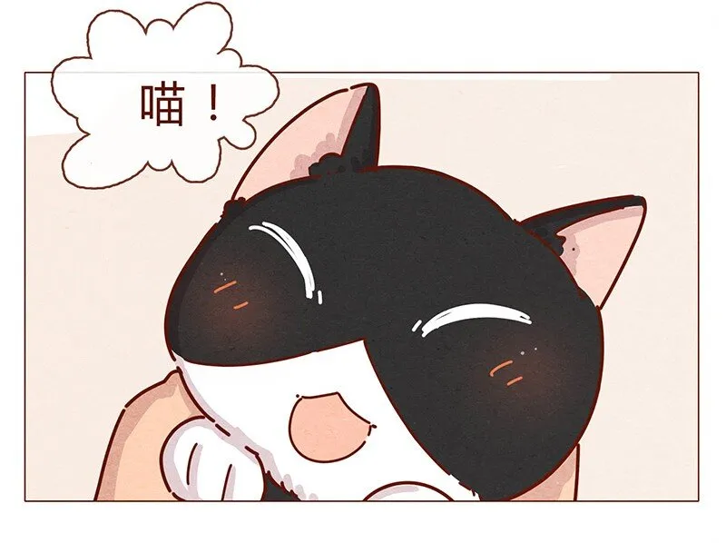 196话 你有别的猫！ 第11页