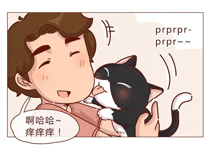 196话 你有别的猫！ 第12页