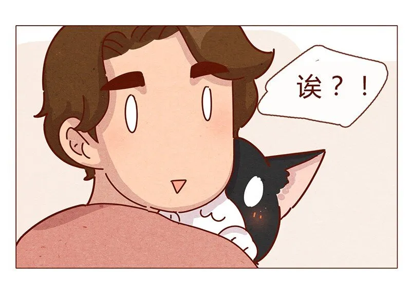 196话 你有别的猫！ 第14页
