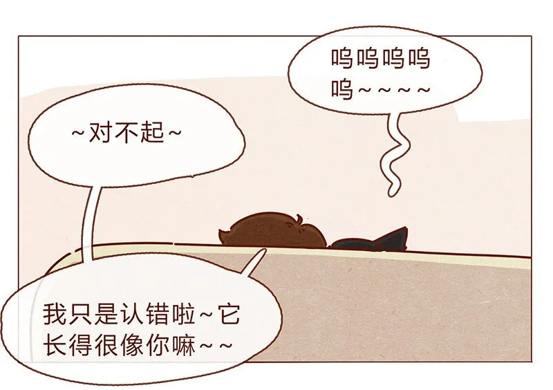 196话 你有别的猫！ 第19页