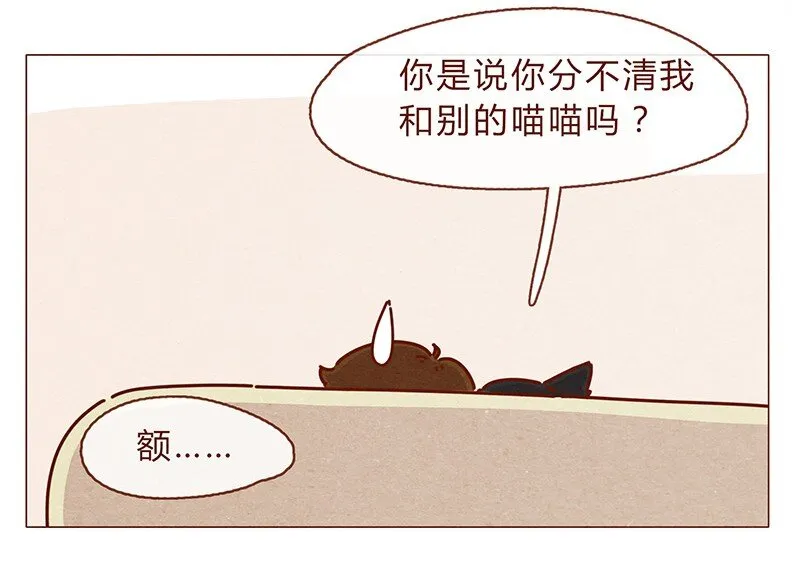 196话 你有别的猫！ 第20页