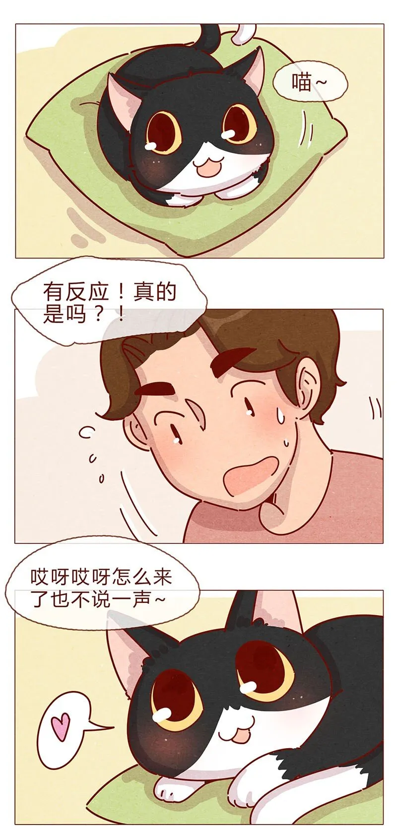 197话 你举着个胖次做什么 第6页