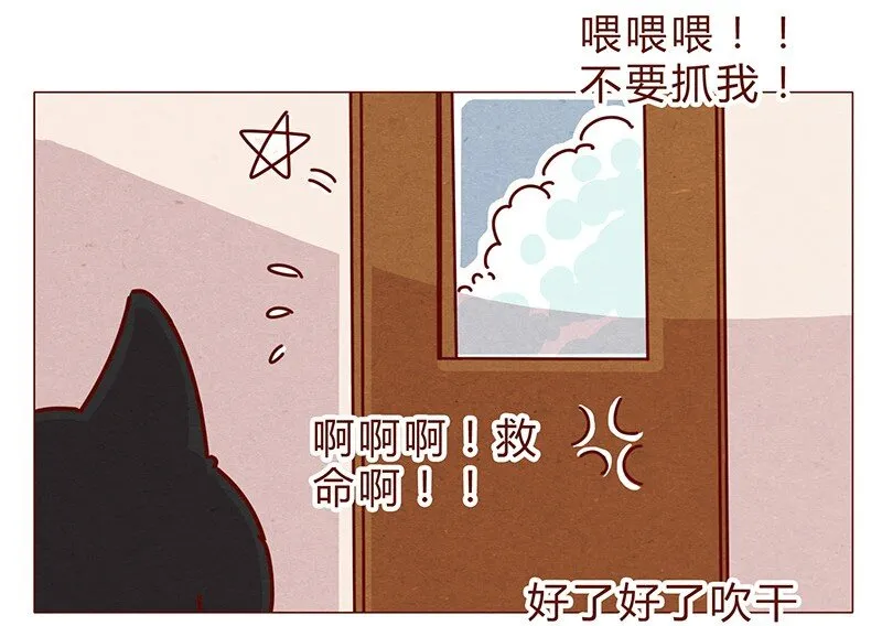 198话 吸猫不如吸淼 第13页