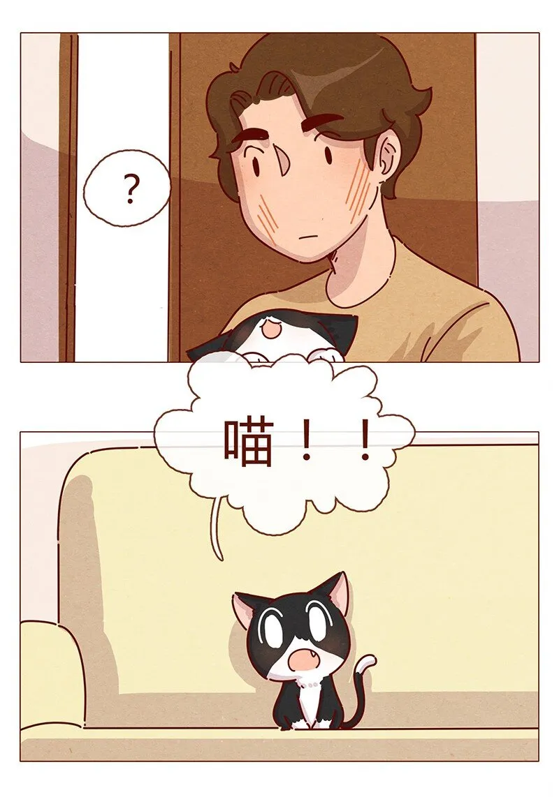 198话 吸猫不如吸淼 第18页