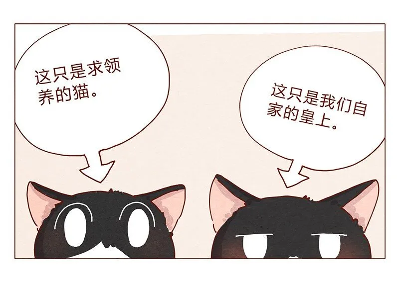 201话 领养比买难！ 第4页