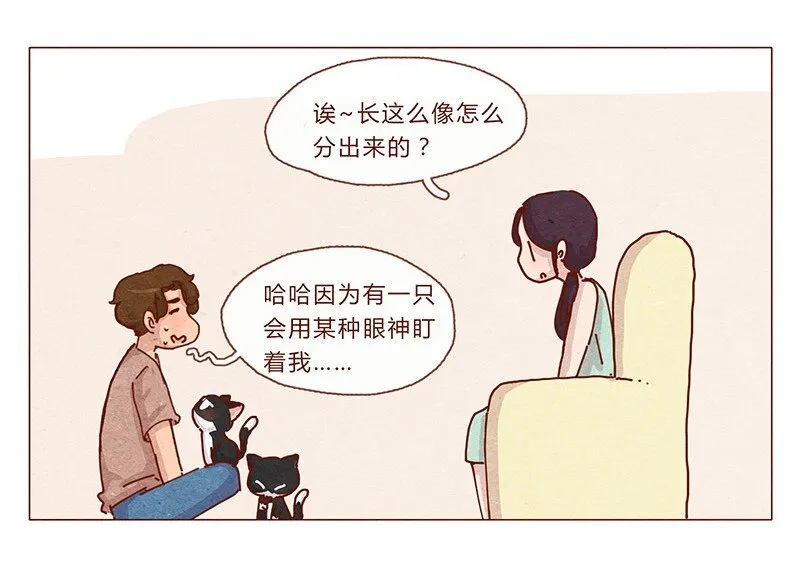 201话 领养比买难！ 第5页