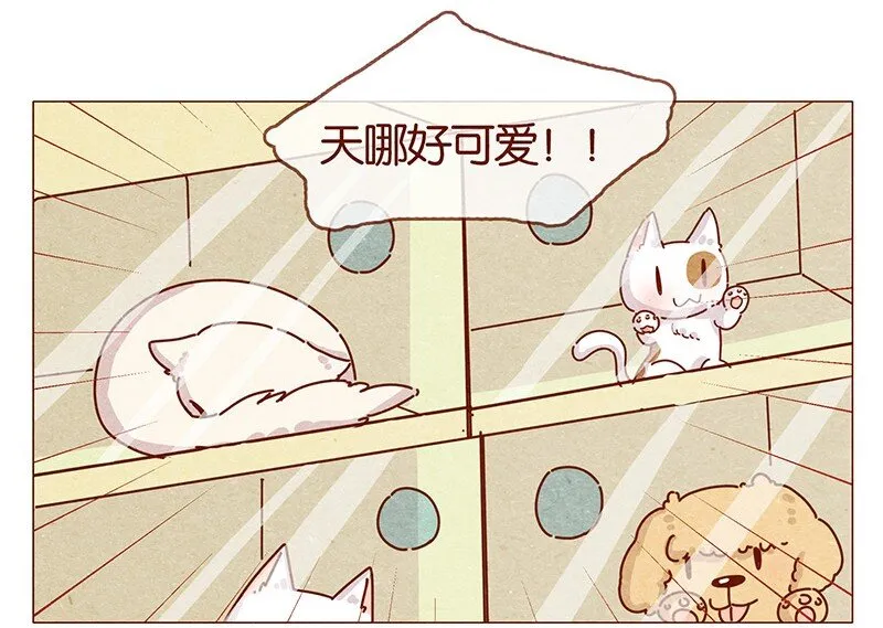 202话 领养日好玩吗？ 第5页