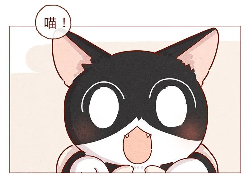 203话 遇到命中注定的猫猫 第6页