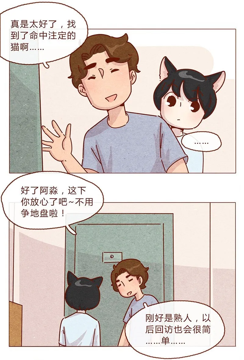 203话 遇到命中注定的猫猫 第8页