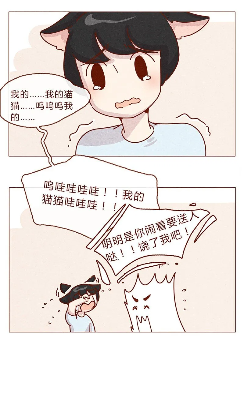 203话 遇到命中注定的猫猫 第10页