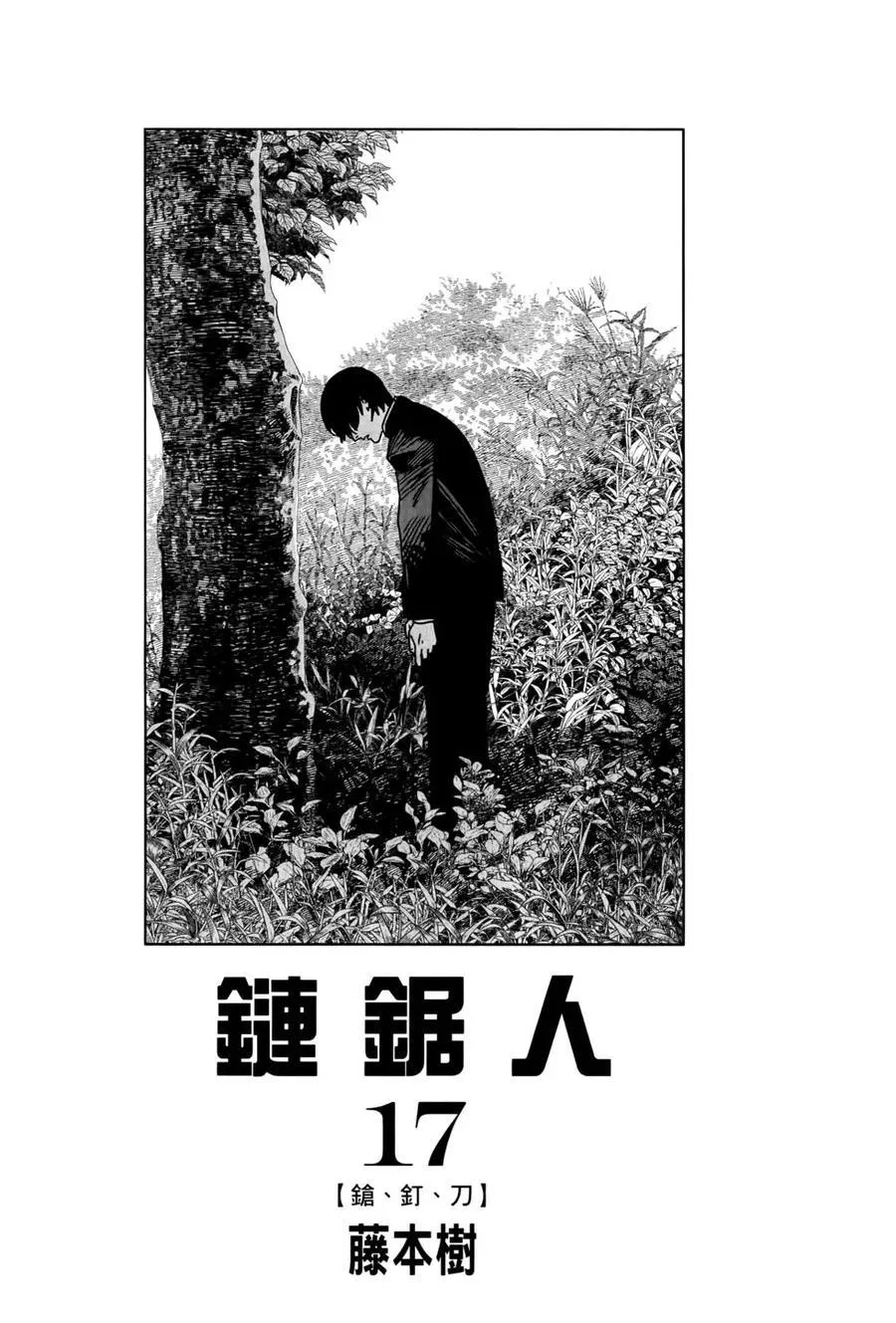 第17卷 第4页