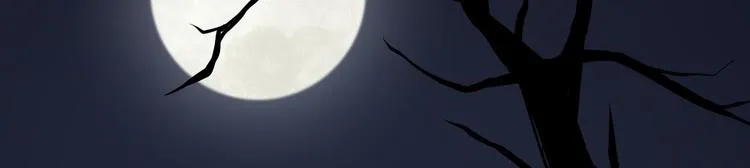 第57话 “婚房” 第60页